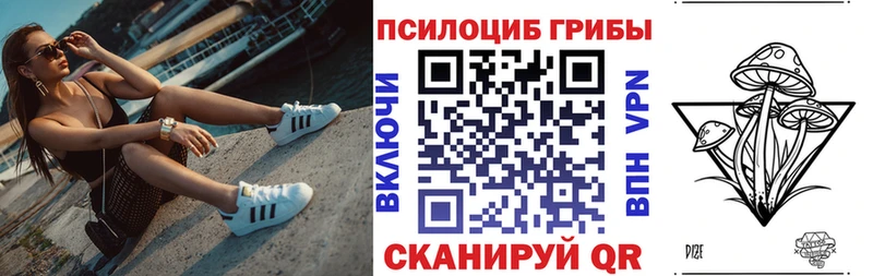 Купить где  Сухой Лог  Псилоцибиновые грибы мухоморы 